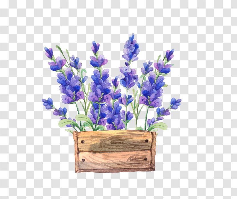 Paper Watercolor Painting Flower Lavender - Flowerpot - Flowers Transparent PNG
