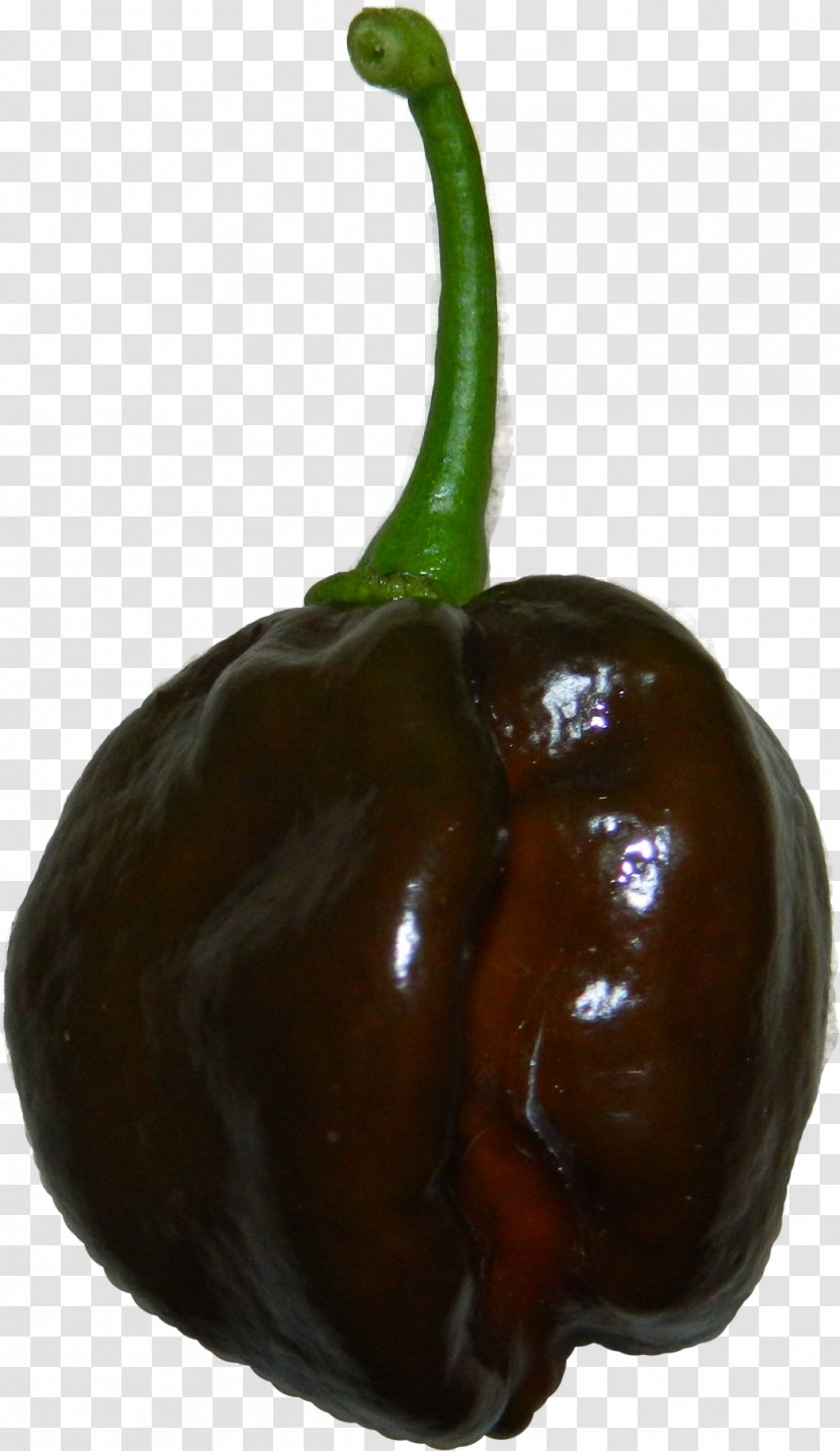 Habanero Bell Pepper Serrano Cayenne Chili - Natural Foods - Chocolate Transparent PNG