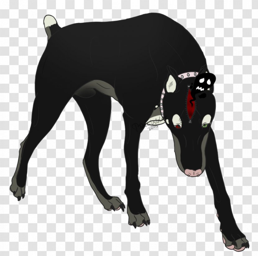 Italian Greyhound Dog Breed Mammal Canidae - Black M - Poodle Transparent PNG