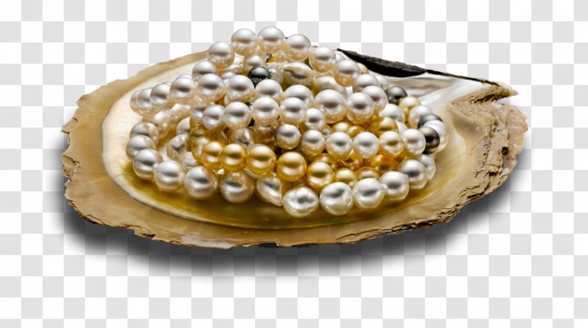 Cultured Pearl Akoya Oyster Tahiti - Clam - Jewellery Transparent PNG