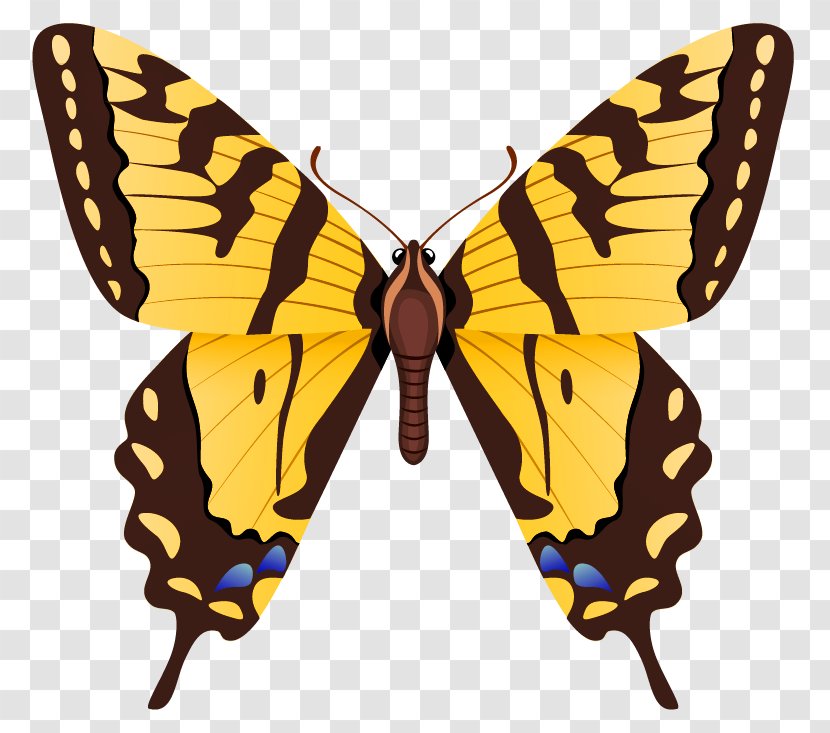 Monarch Butterfly Eastern Tiger Swallowtail Pieridae - Stencil Transparent PNG