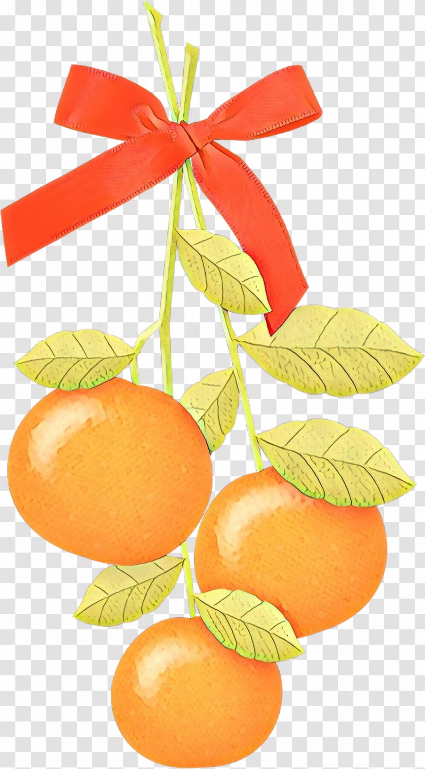 Clementine Mandarin Orange Tangerine Grapefruit Food - Citrus - Diet Transparent PNG