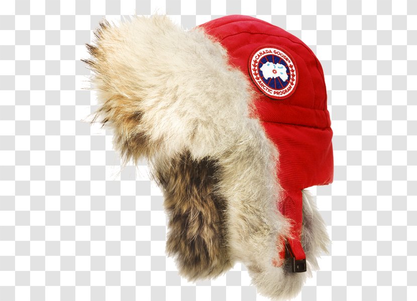 Canada Goose Leather Helmet Hat Parka Sporting Life - Down Feather Transparent PNG