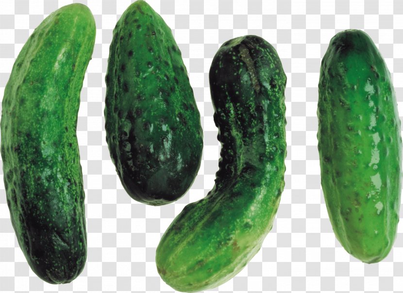 Cucumber Clip Art - Vegetable - Cucumbers Image Transparent PNG
