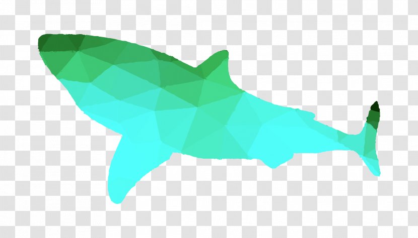 Requiem Sharks Dolphin Fauna - Tiger Shark Transparent PNG