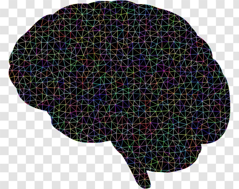Brain Polygon Neuron Clip Art - Anatomy - Polygonal Transparent PNG