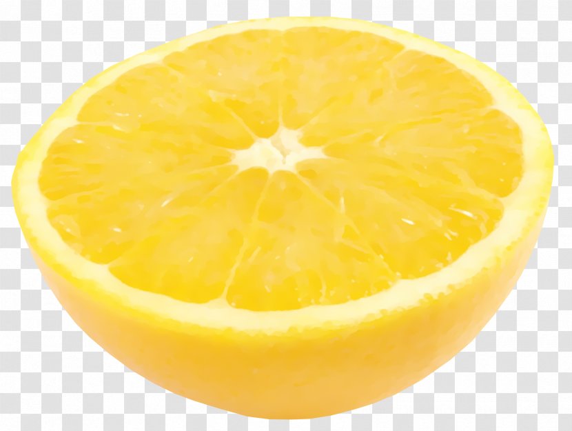 Sweet Lemon Citron Grapefruit Citrus Junos - Orange Transparent PNG
