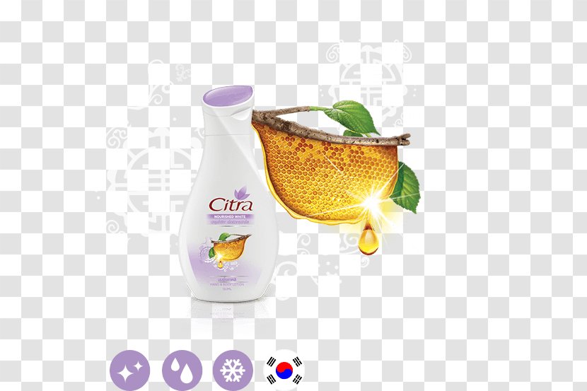 Thailand Lotion Product Price Exercise - Discounts And Allowances - Citra Transparent PNG