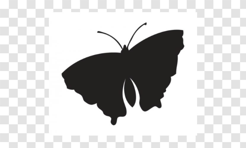 Brush-footed Butterflies Clip Art Silhouette Black M M. Butterfly - Invertebrate - Brush Footed Transparent PNG