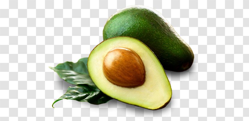 Hass Avocado Soup Oil Food Eating - Health Transparent PNG