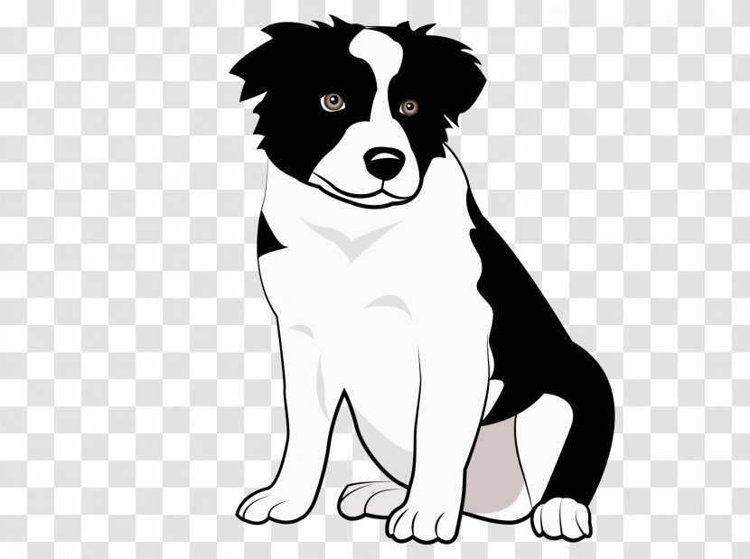 Border Collie Rough Puppy Pet - Breed Transparent PNG