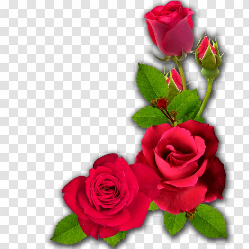 Cut Flowers Garden Roses - Flower Bouquet - Dussehra Transparent PNG