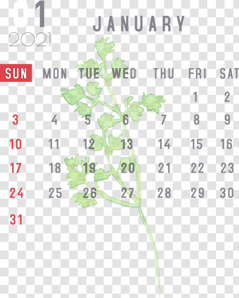 Nexus S Leaf Plant Stem Flower Meter Transparent PNG