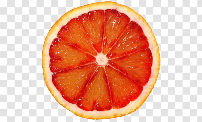 Information - Orange Grapefruit Transparent PNG