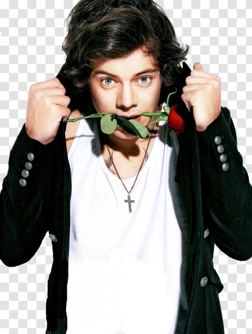 Harry Styles The X Factor One Direction Clip Art - Tree - STYLE Transparent PNG