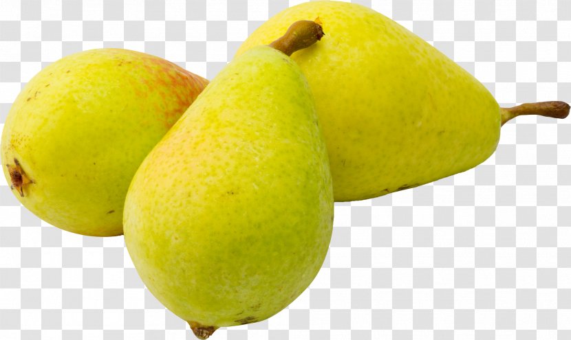 Fig Tree - Asian Pear - Ataulfo Fruit Transparent PNG