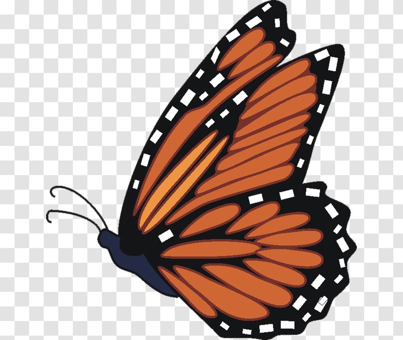 Monarch Butterfly Insect Brush-footed Butterflies Clip Art Transparent PNG