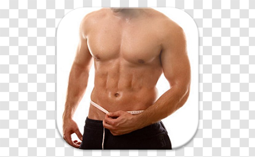 Adipose Tissue Health Conjugated Linoleic Acid Weight Loss Liposuction - Frame Transparent PNG