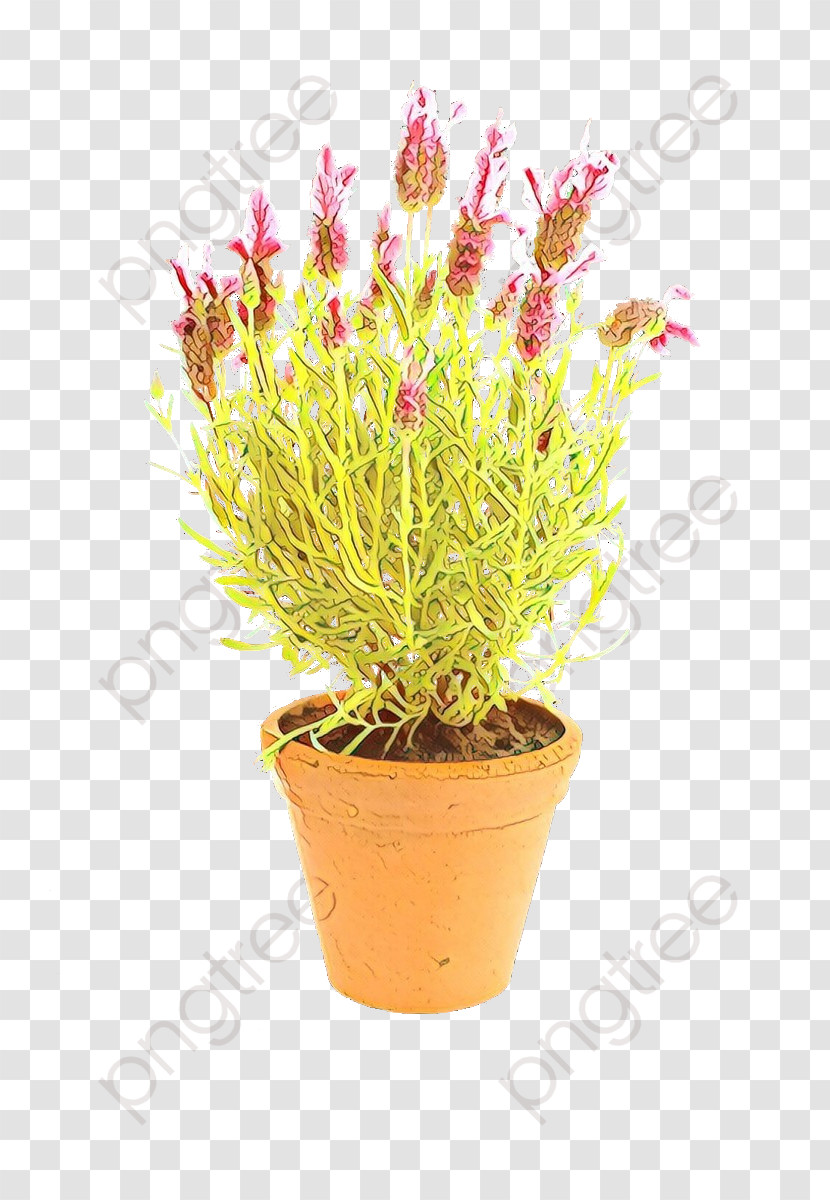 Flower Flowerpot Plant Grass Houseplant Transparent PNG