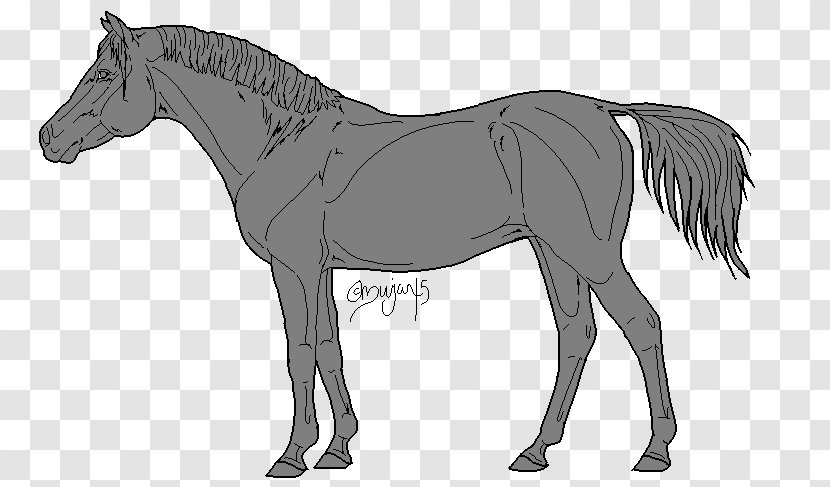 Mule Oligocene Mustang Stallion Foal - Pack Animal - Arabian Horse Transparent PNG