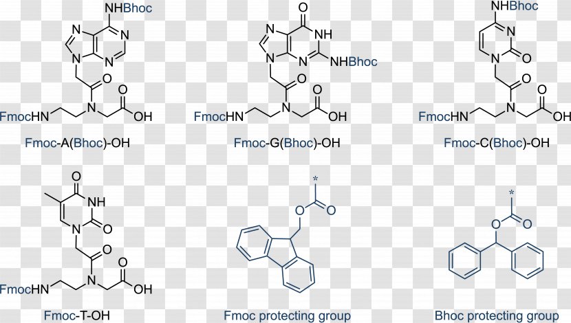 Peptide Nucleic Acid Monomer Chemistry - Chlorine Transparent PNG
