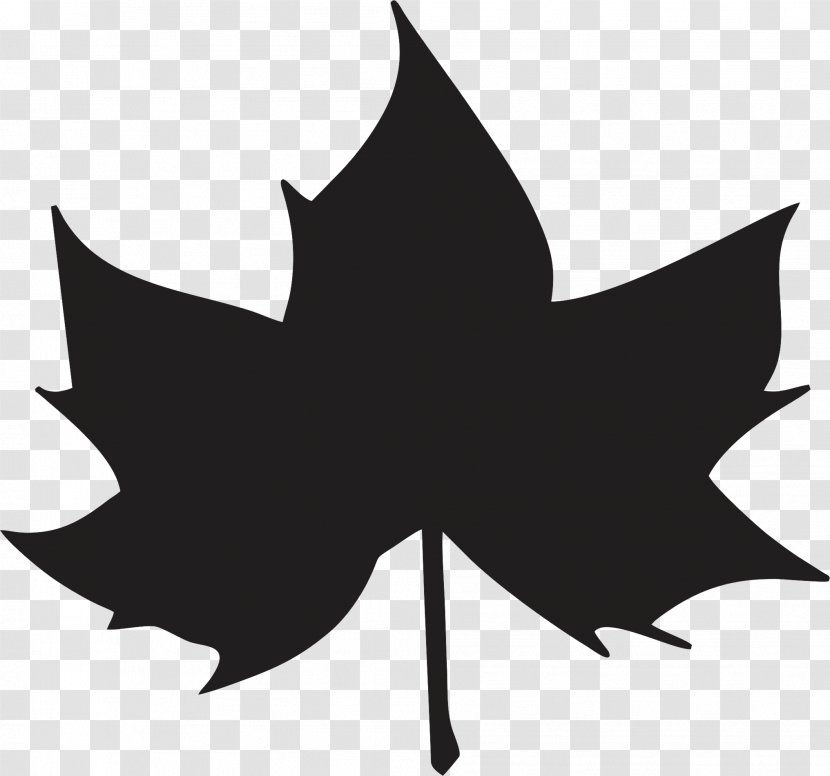 Clip Art Maple Leaf - Monochrome Transparent PNG