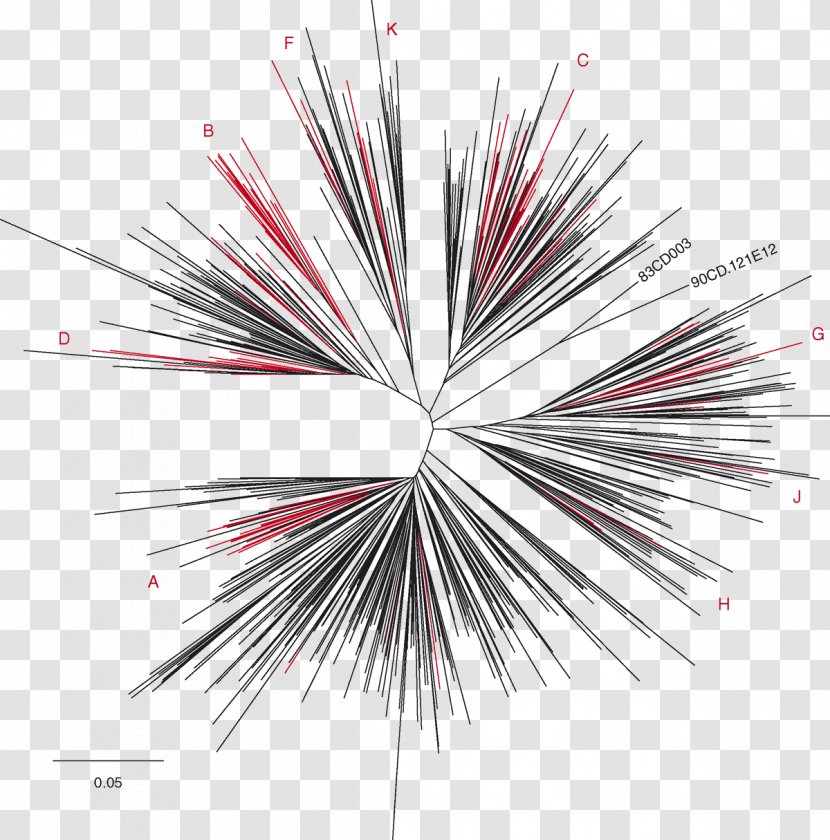 AIDS Phylogenetic Tree Evolution Kaposi's Sarcoma Phylogenetics - Evolutionary History Of Life - Red Allogeneic Virus Cell Transparent PNG