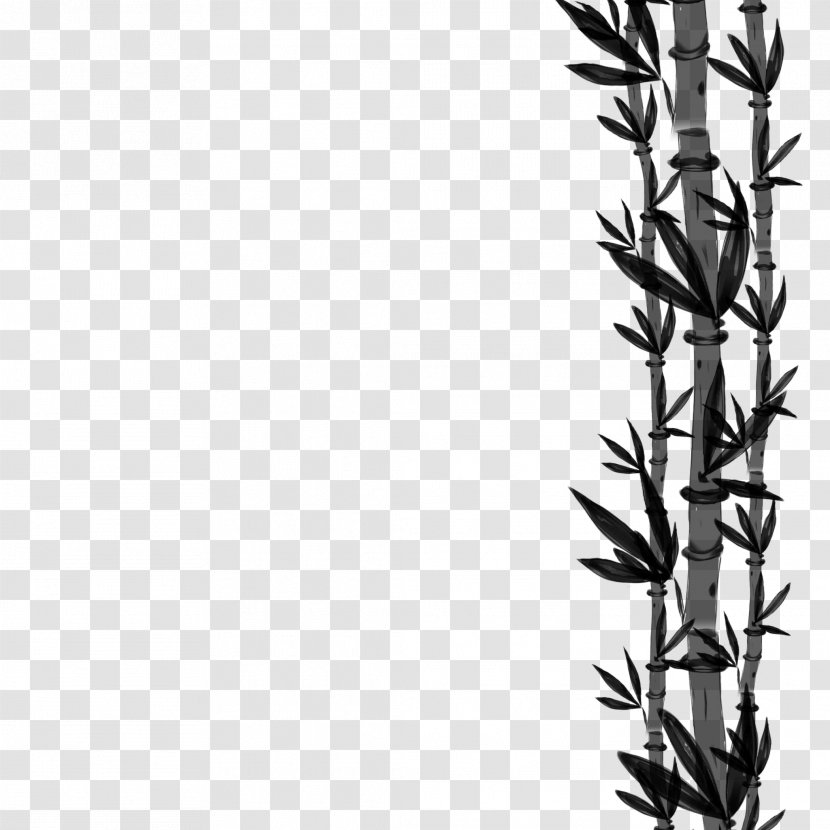Black & White - M - Font Grasses Line Plant Stem Transparent PNG