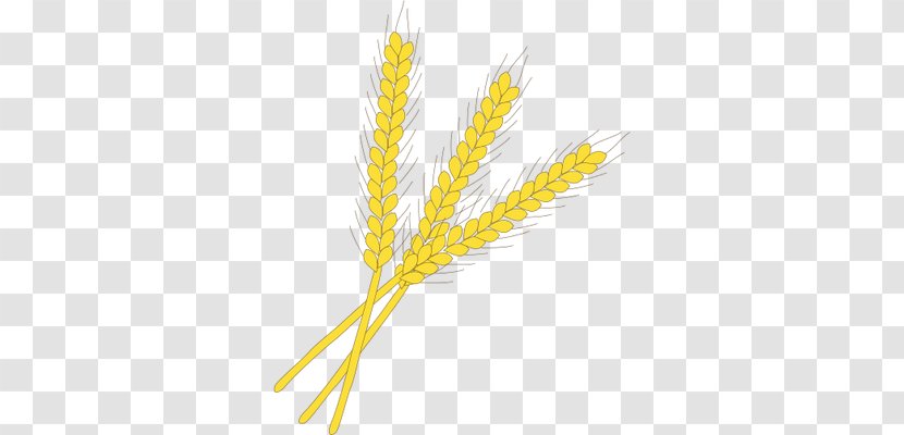 Emmer Einkorn Wheat Rye Symbol Cereal Germ Transparent PNG