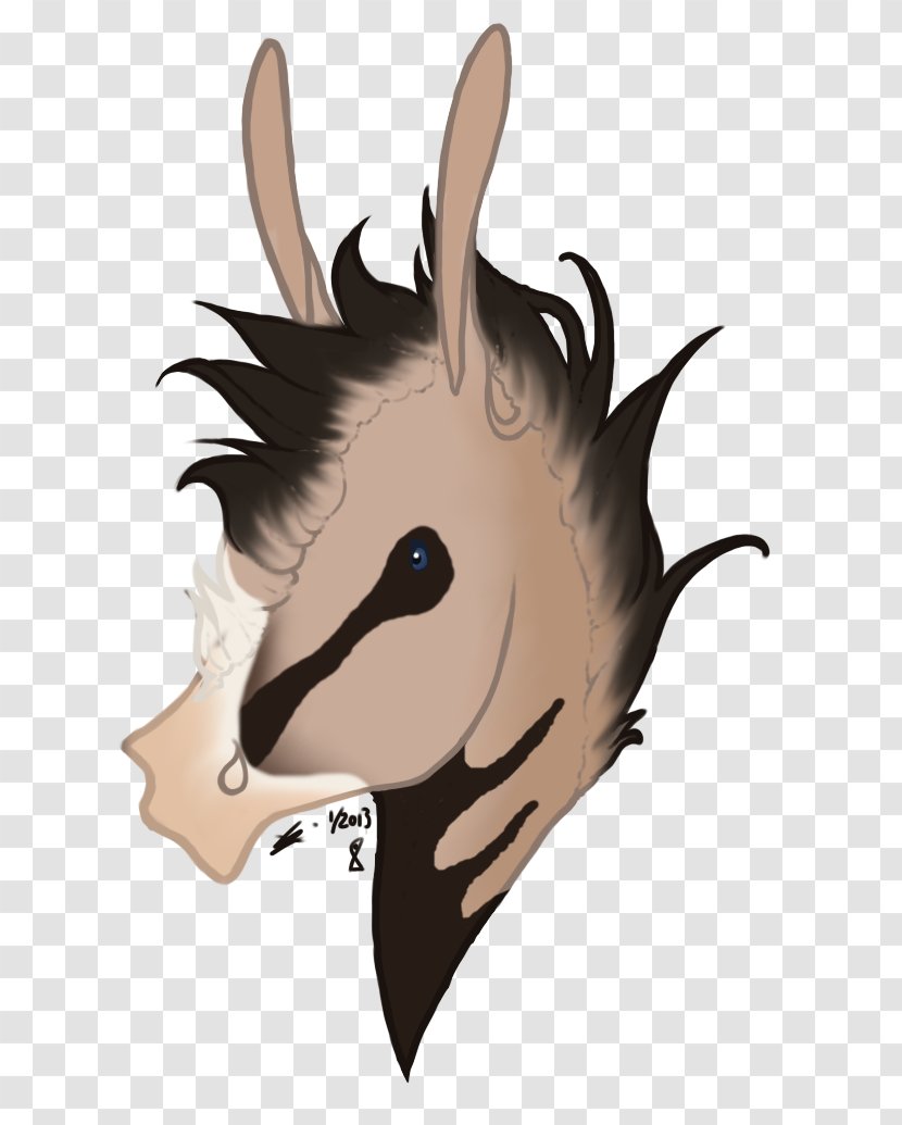 Snout Horse Cartoon Desktop Wallpaper Transparent PNG