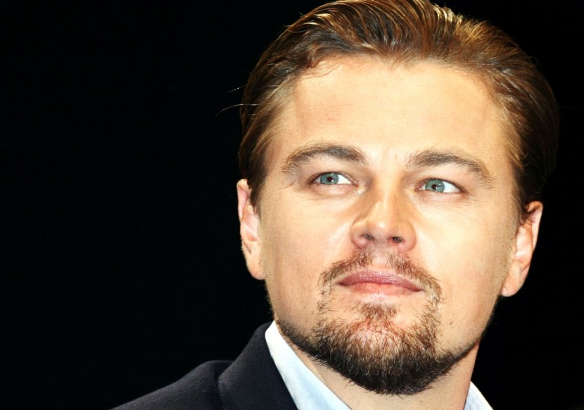 Leonardo DiCaprio Django Unchained Actor Quotation Film - Facial Hair - Dicaprio Transparent PNG