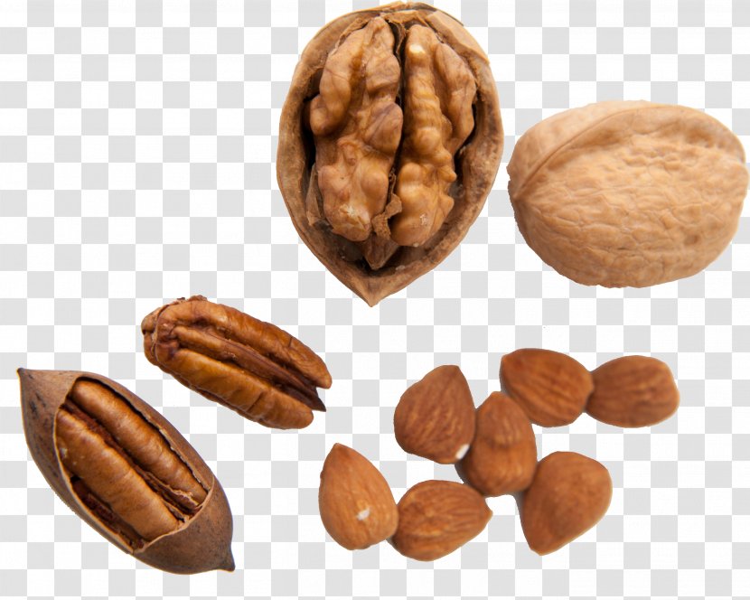 Walnut Pecan Nuts Auglis - Peel Transparent PNG