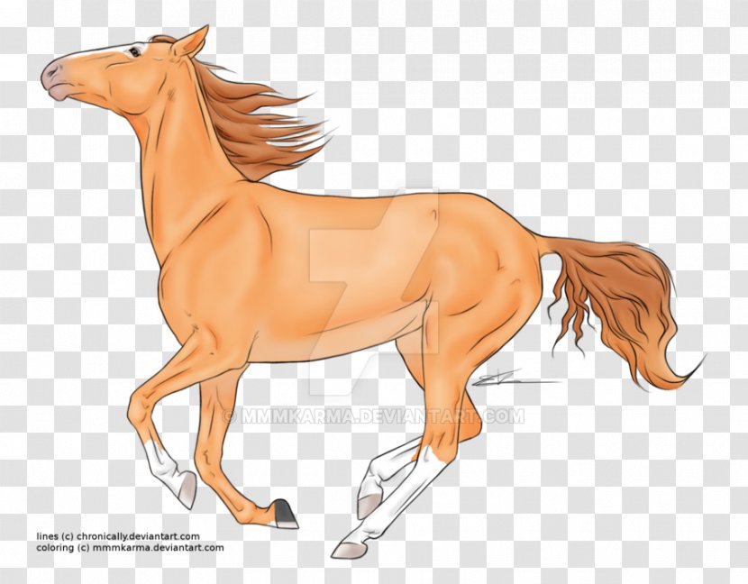 Horse Cartoon - Foal - Line Art Tail Transparent PNG