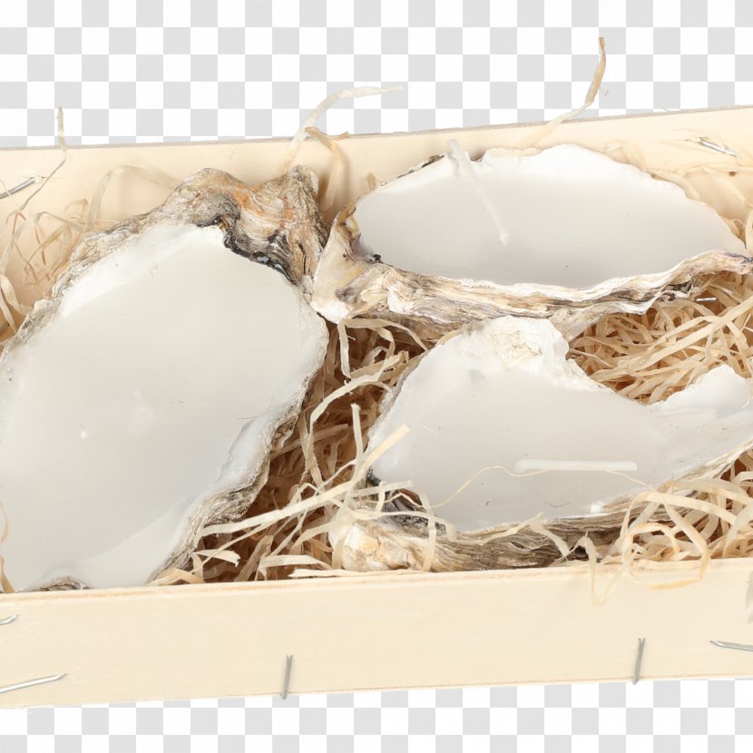 Egg - Drift Wood Transparent PNG