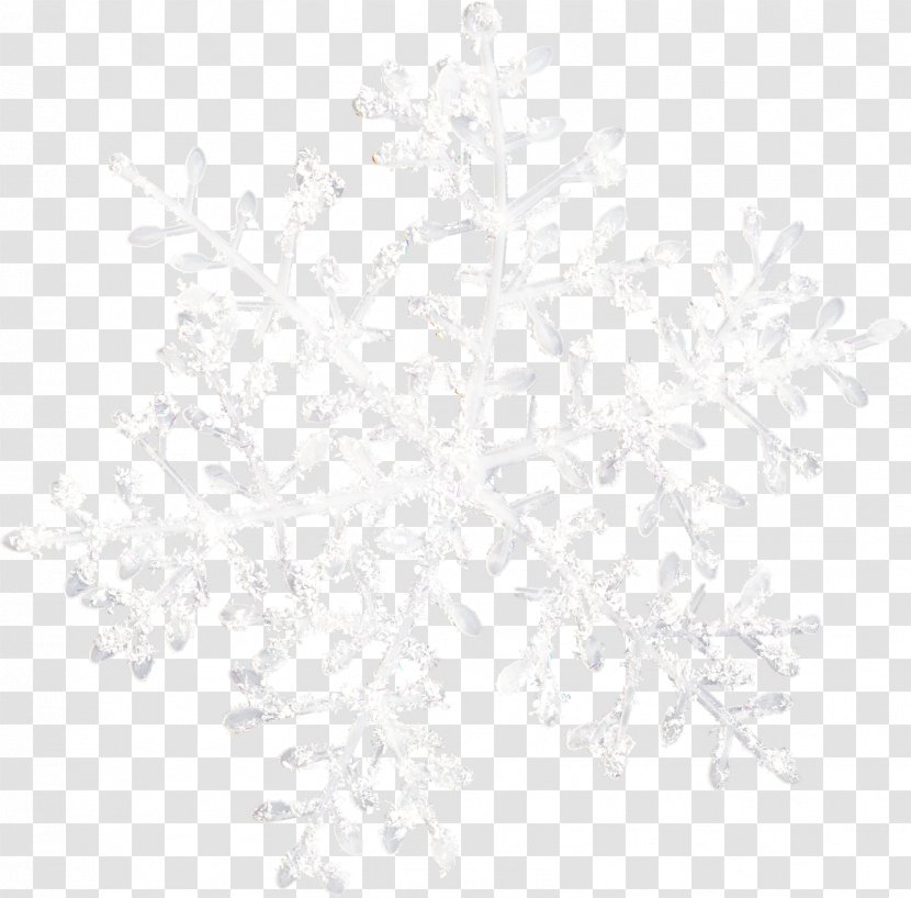 Snowflake Image Clip Art - Black And White Transparent PNG