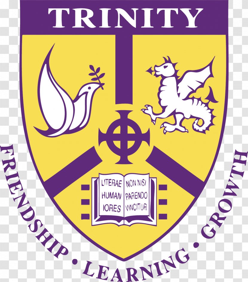 University Of Dublin Residential College Trinity Organization - Psychologist - School Transparent PNG