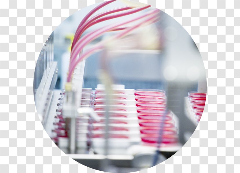 E & O Laboratories Ltd Plastic Farm Factory - Manufacturing - Blood Donor Transparent PNG
