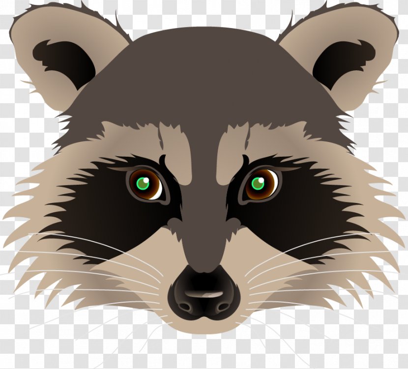 Raccoon Drawing Painting Clip Art - Bear Transparent PNG