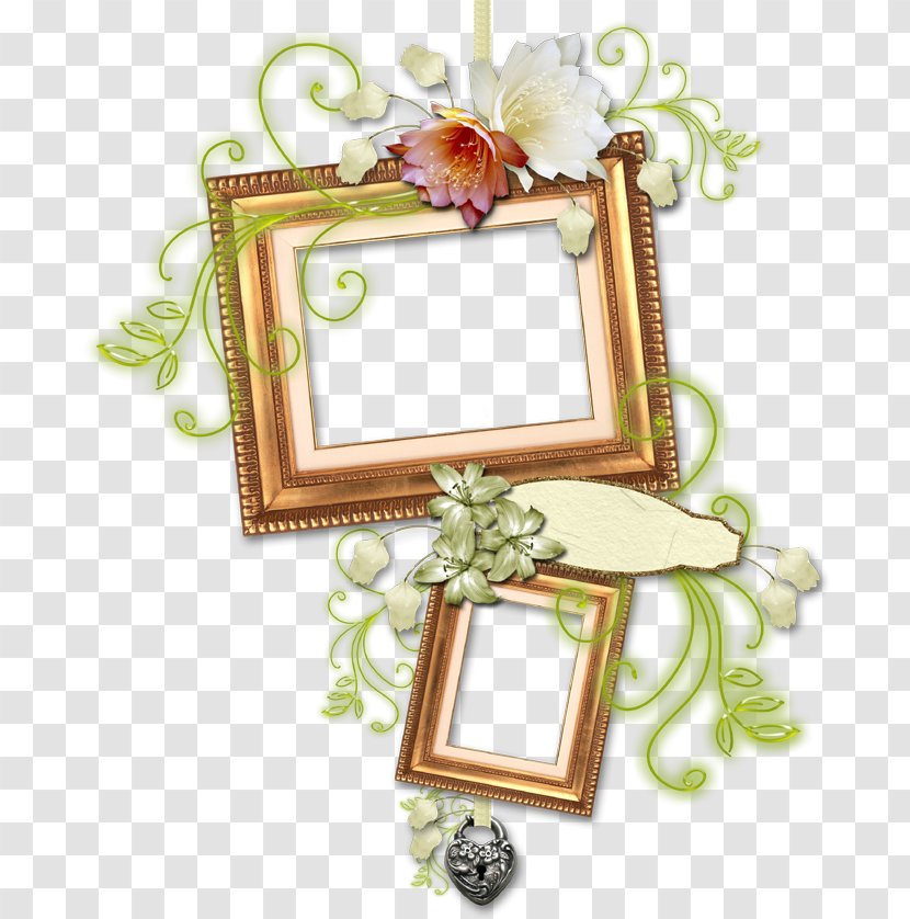 Hardcover Picture Frames Daum - Piza Transparent PNG