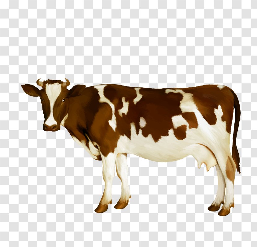 Dairy Cattle Milk Calf - Simmental - Watercolor Cow Vector Transparent PNG