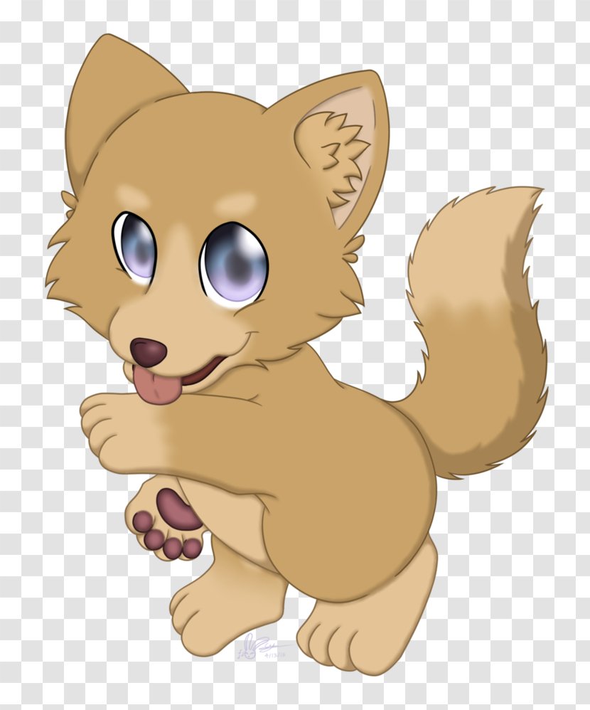 Cat Dog Red Fox Puppy - Like Mammal - Afternoon Transparent PNG