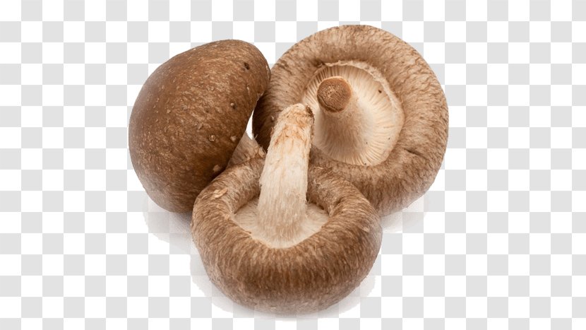 Shiitake Fungus Mushroom Food Medicinal Fungi - Ingredient Transparent PNG