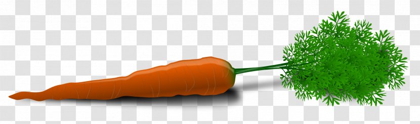 Carrot And Stick Clip Art - Eating - Image Transparent PNG