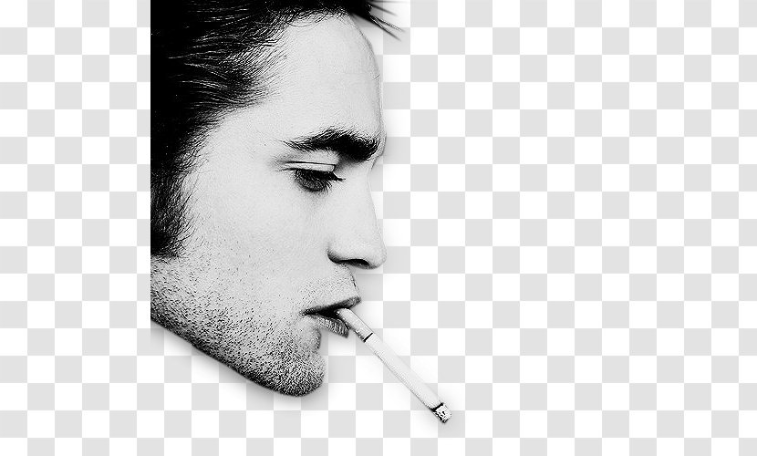 Moustache Man Portrait Cigarette Beard - Eyebrow Transparent PNG