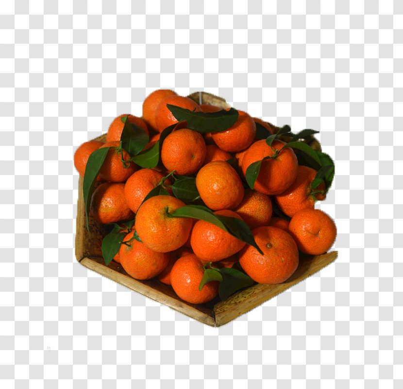 Clementine Mandarin Orange Tangerine - Sand Candy Picture Transparent PNG