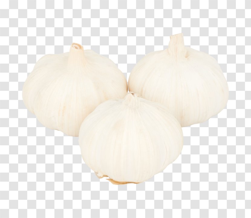 Garlic Onion - Fresh Transparent PNG