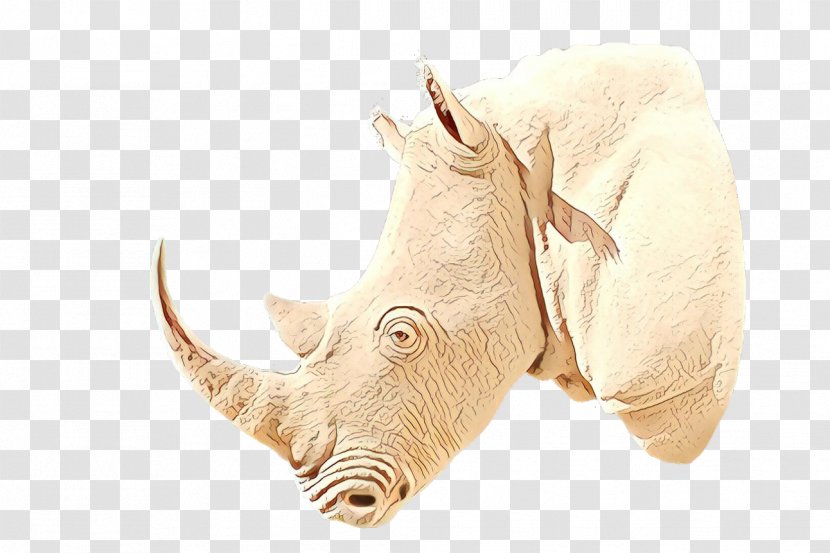 Fauna Rhinoceros - Snout - Wildlife White Transparent PNG