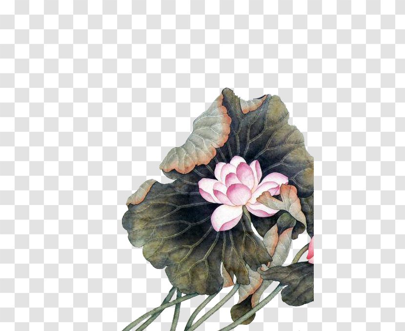 China Chinese Painting Art Flower - Gongbi - Lotus Transparent PNG