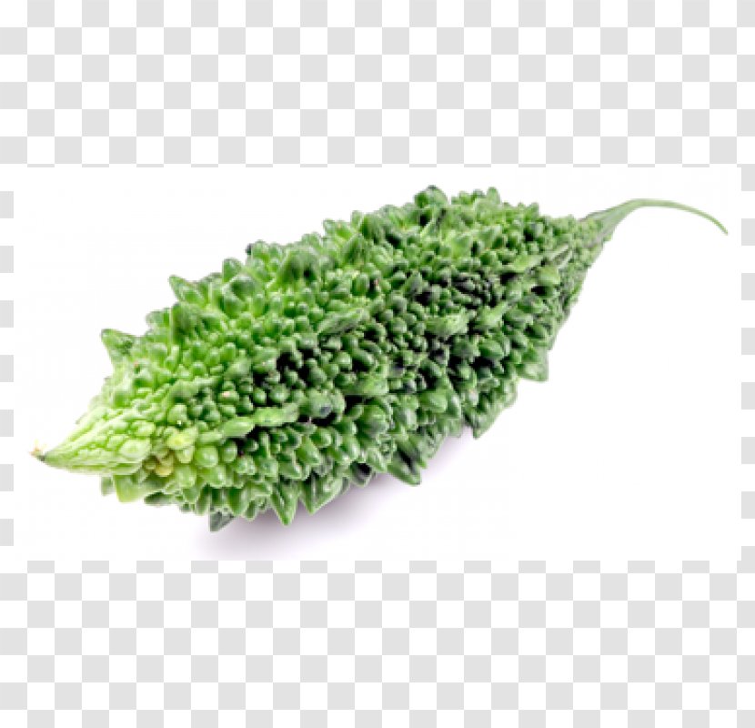 Herb - Grass Transparent PNG