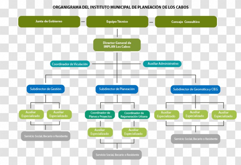 IMPLAN Los Cabos Cabo San Lucas Organizational Chart Local Government - Municipality Transparent PNG